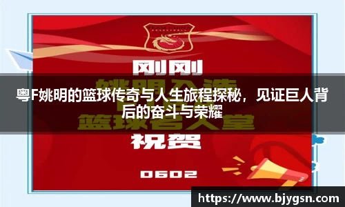 粤F姚明的篮球传奇与人生旅程探秘，见证巨人背后的奋斗与荣耀