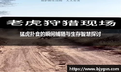 雷竞技官网地址